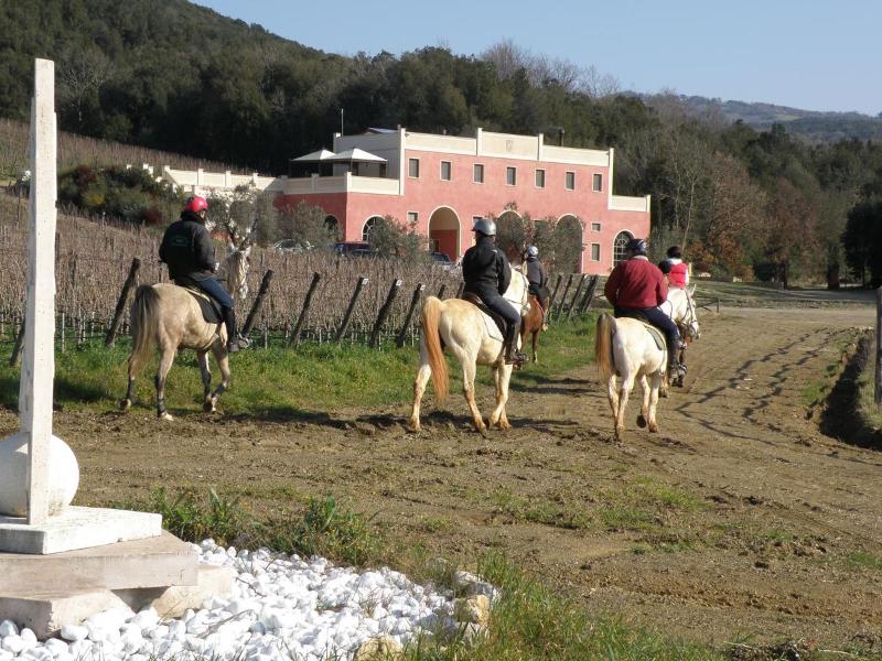 Tenuta Il Sassone - Wine & Food - Genel