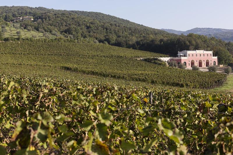 Tenuta Il Sassone - Wine & Food - Genel