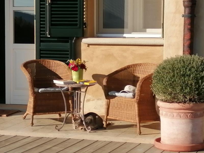Tenuta Il Sassone - Wine & Food - Genel