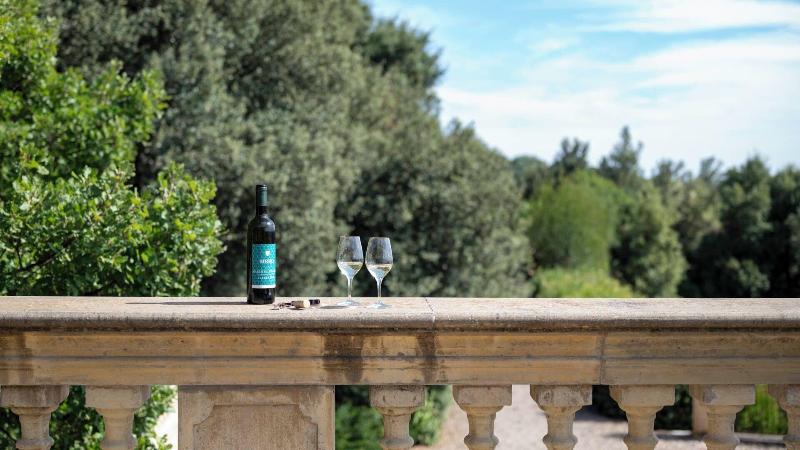 Tenuta Il Sassone - Wine & Food - Genel