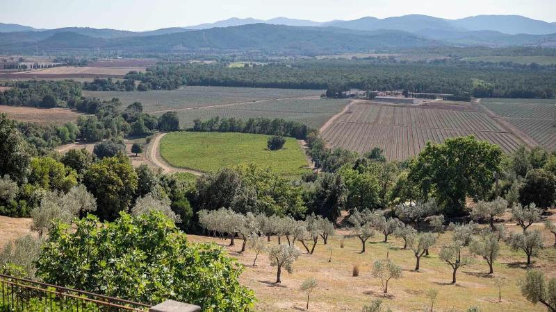Tenuta Il Sassone - Wine & Food - Genel