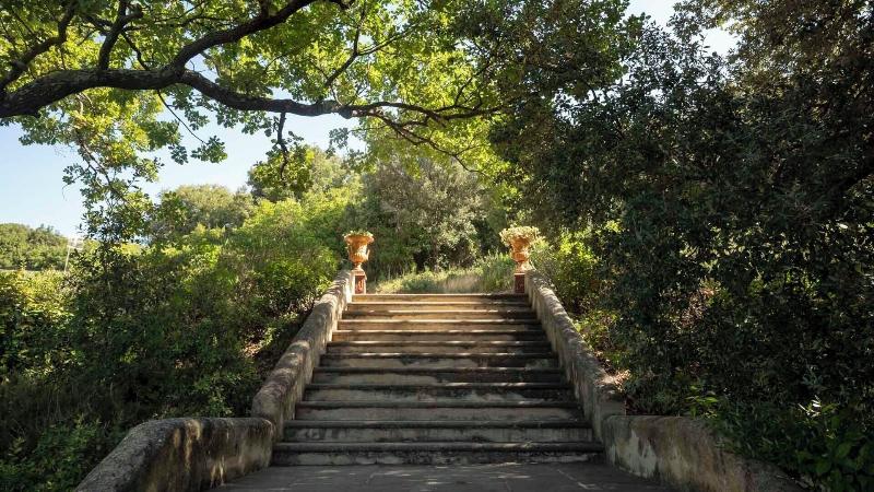 Tenuta Il Sassone - Wine & Food - Genel