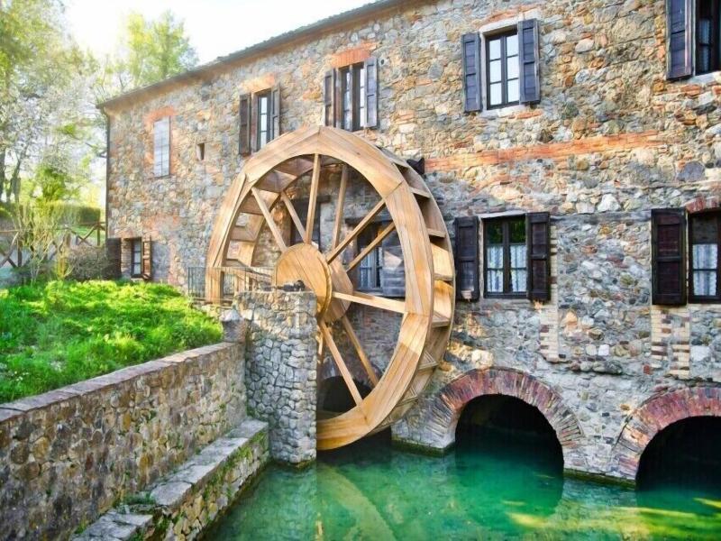 Tenuta Il Sassone - Wine & Food - Genel