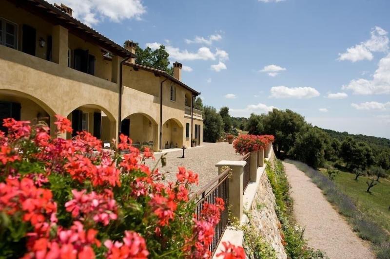 Tenuta Il Sassone - Wine & Food - Genel
