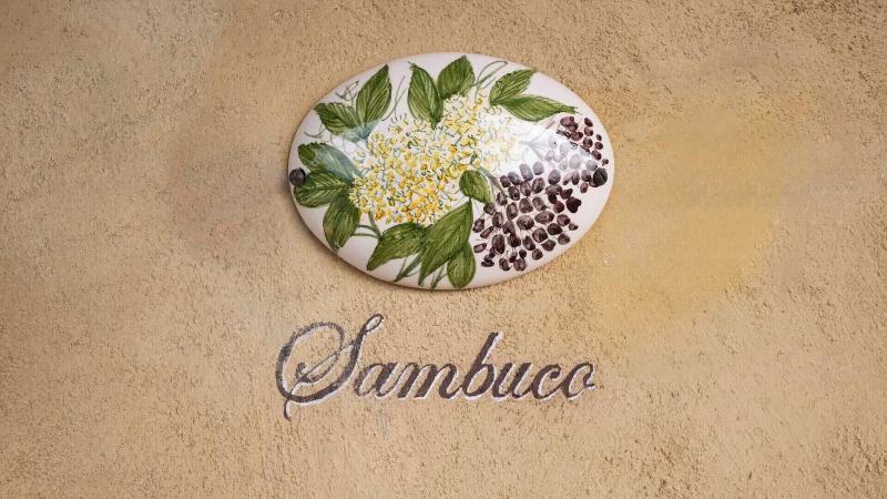 Tenuta Il Sassone - Wine & Food - Oda