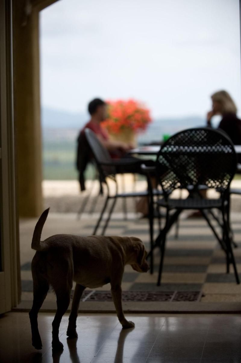 Tenuta Il Sassone - Wine & Food - Teras