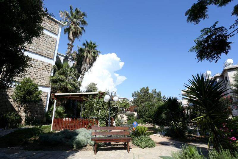 Dionysos Central - Genel