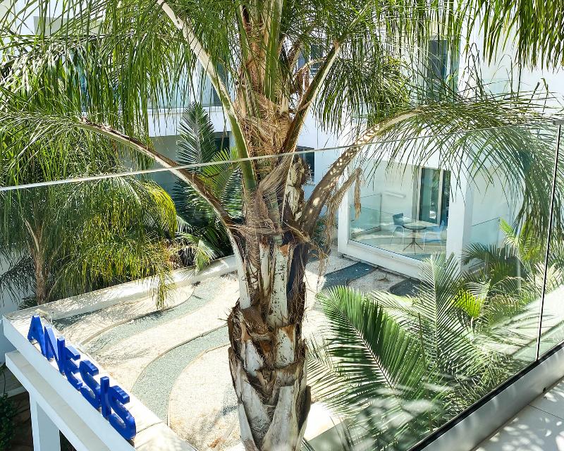 Anesis Hotel - Oda