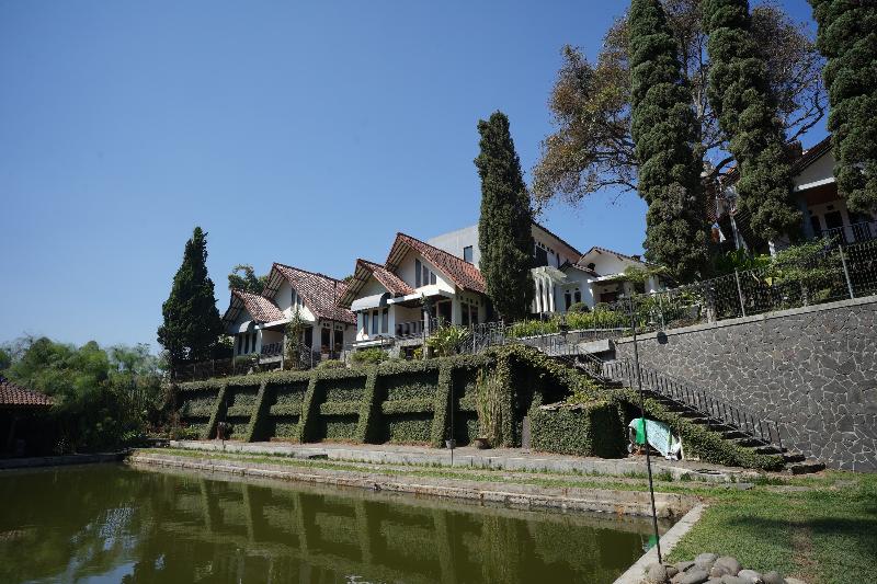 Citere Resort Hotel by ZUZU - Genel