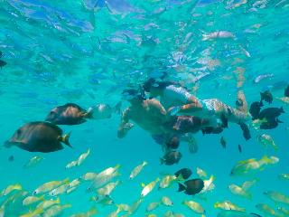 Kagi Maldives Spa Island fotoÄŸrafÄ±