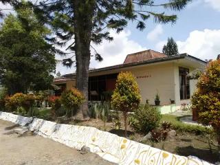 Kaliaga Bungalow by ZUZU fotoÄŸrafÄ±