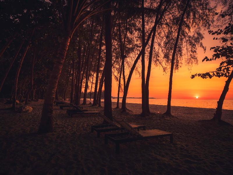 Avani+ Khao Lak Resort - Plaj