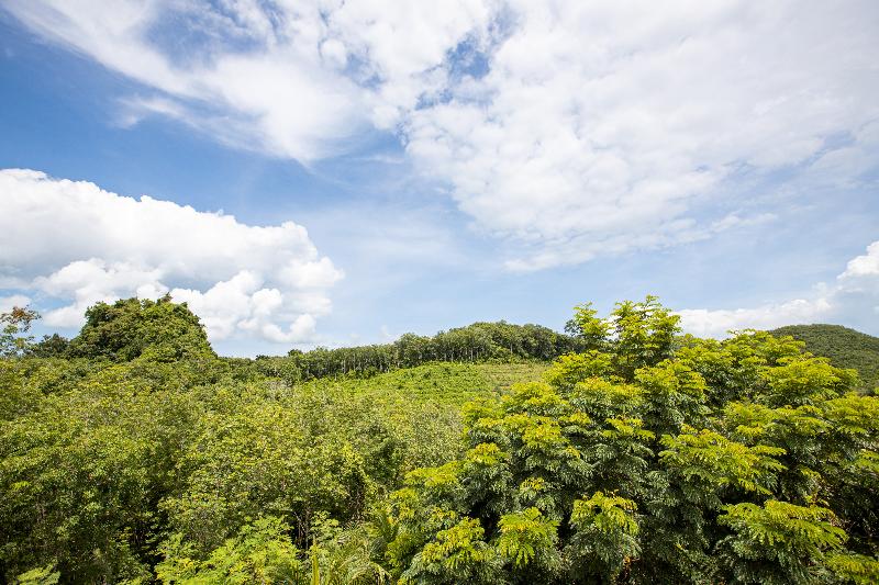 SAMSAM Yao Noi - Tropical Magic & Art Villas - Genel