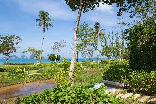 Banyan Tree Krabi fotoÄŸrafÄ±