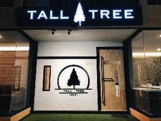 Tall Tree Kata Phuket fotoÄŸrafÄ±