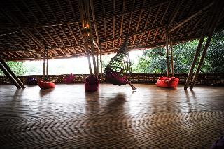 Ecolodge Bukit Lawang fotoÄŸrafÄ±