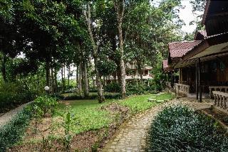 Ecolodge Bukit Lawang fotoÄŸrafÄ±