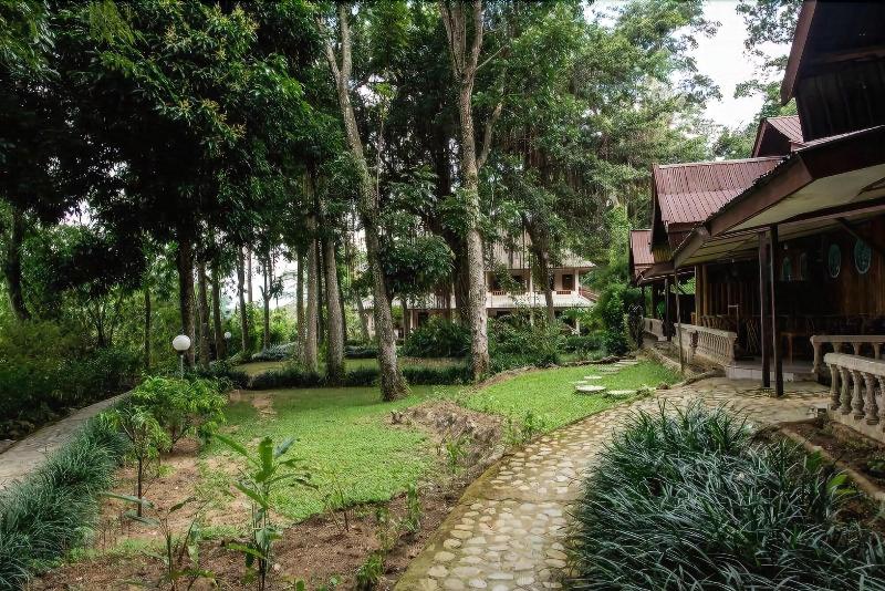 Ecolodge Bukit Lawang - Genel