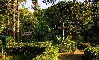 Ecolodge Bukit Lawang fotoÄŸrafÄ±