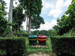 Ecolodge Bukit Lawang fotoÄŸrafÄ±