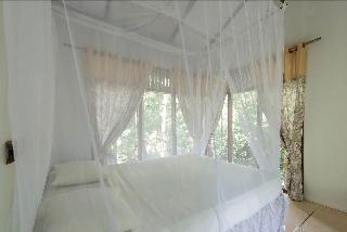 Ecolodge Bukit Lawang fotoÄŸrafÄ±