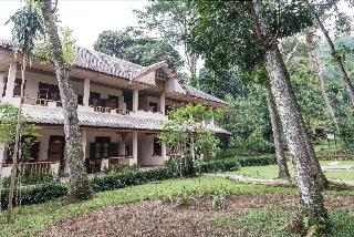 Ecolodge Bukit Lawang fotoÄŸrafÄ±