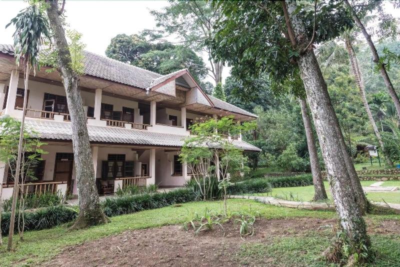 Ecolodge Bukit Lawang - Oda
