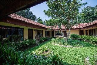 Ecolodge Bukit Lawang fotoÄŸrafÄ±