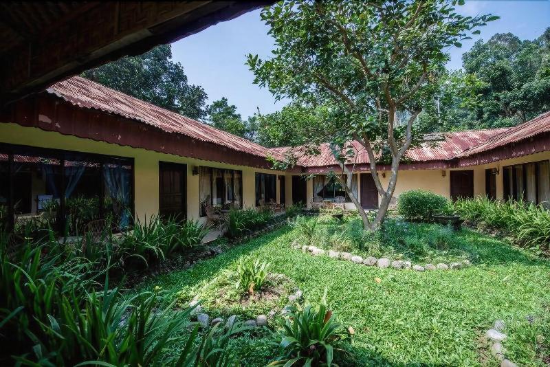 Ecolodge Bukit Lawang - Oda