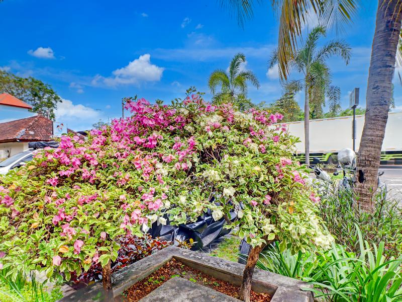 Collection O Bali Near Sanur Beach - Lobi