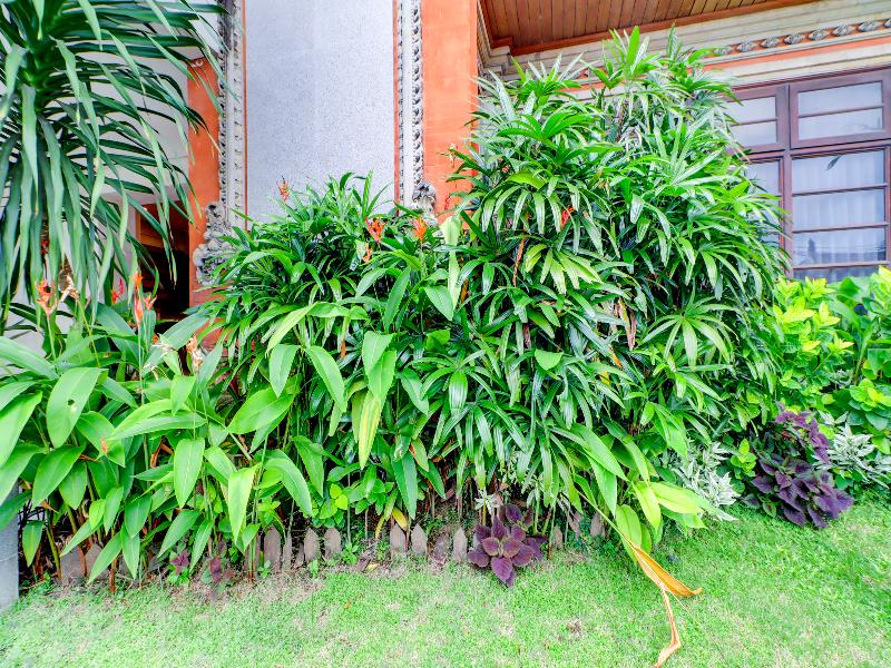 Collection O Bali Near Sanur Beach - Lobi