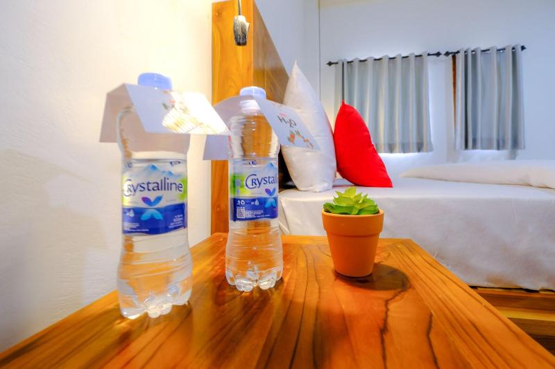 1793 Kuta Circle Homestay - Oda