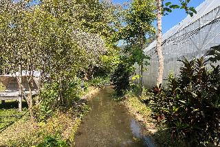 Tung Lakorn Farm by ZUZU fotoÄŸrafÄ±