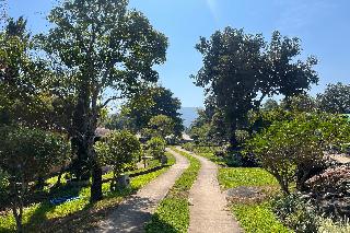 Tung Lakorn Farm by ZUZU fotoÄŸrafÄ±