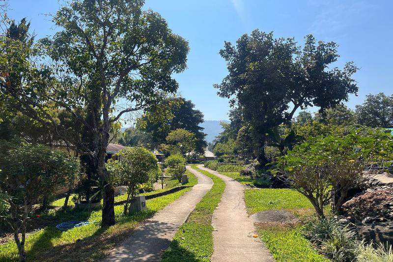 Tung Lakorn Farm by ZUZU - Genel