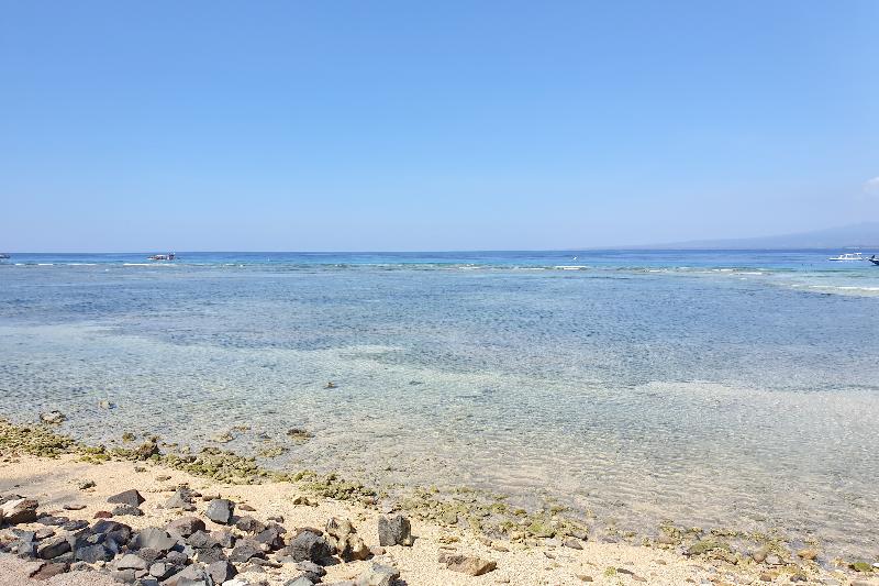 Oyo 1837 Telone Bungalow - Genel