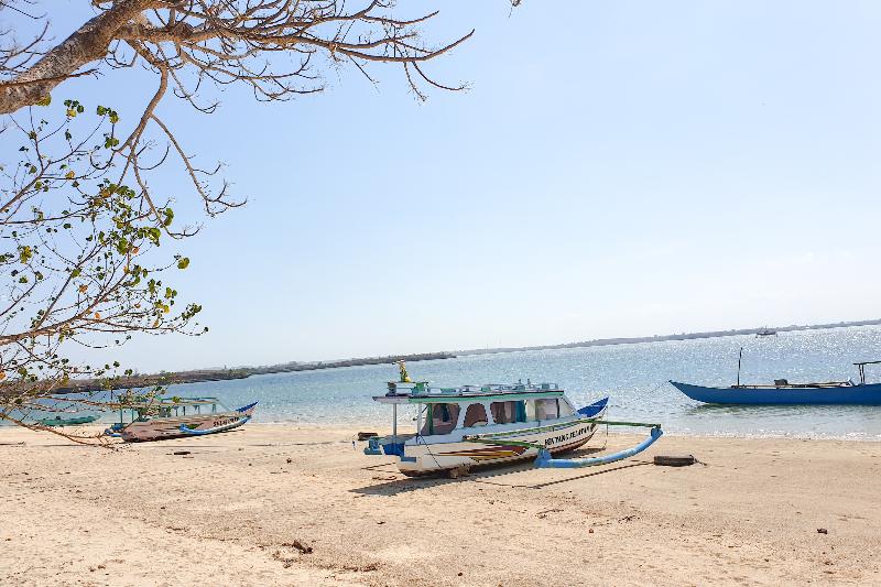 Oyo 1837 Telone Bungalow - Genel