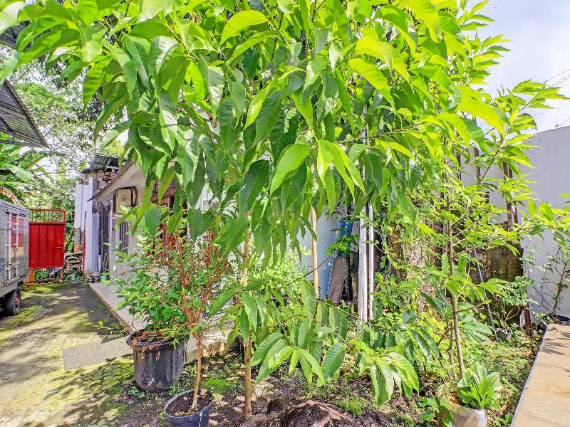 Oyo 1356 Gusti Residence - Lobi