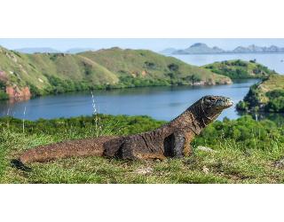Meruorah Komodo Labuan Bajo fotoÄŸrafÄ±