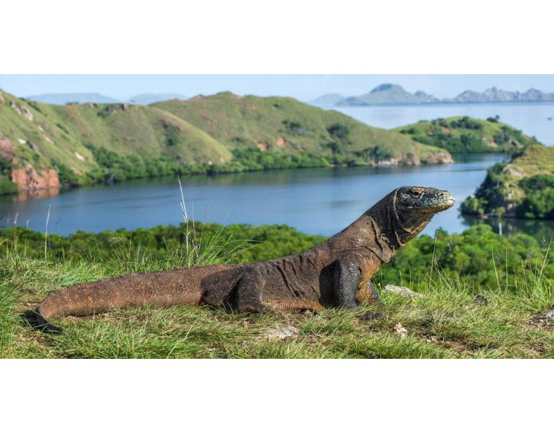 Meruorah Komodo Labuan Bajo - Genel