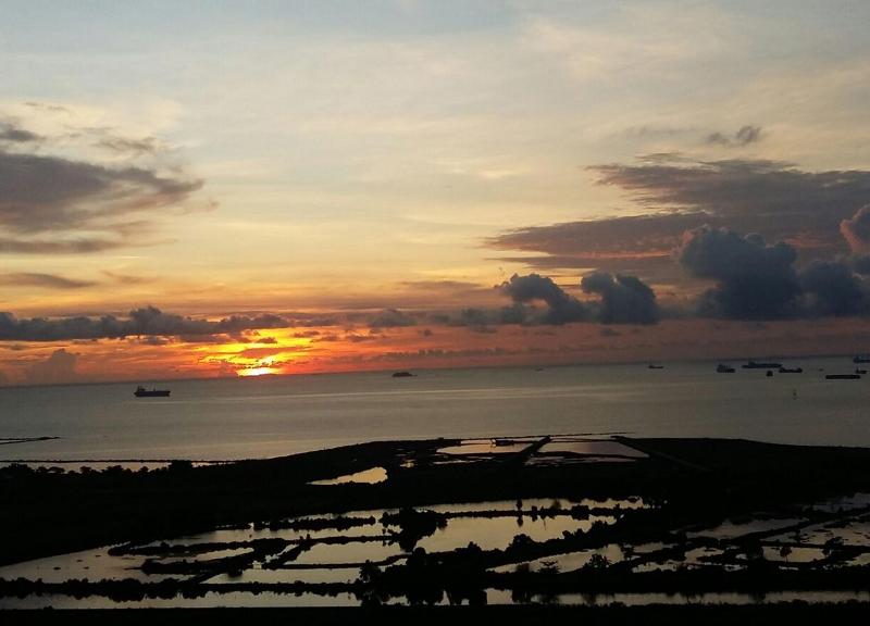 Gammara Hotel Makassar - Genel
