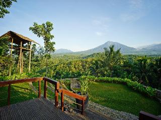 Jiwa Jawa Resort Ijen fotoÄŸrafÄ±