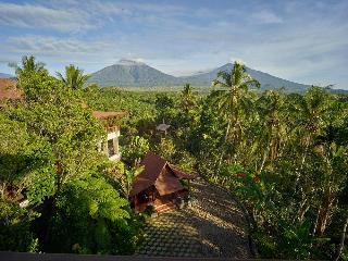 Jiwa Jawa Resort Ijen fotoÄŸrafÄ±
