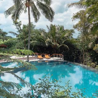 Jiwa Jawa Resort Ijen fotoÄŸrafÄ±