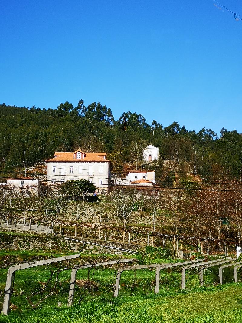 Regina - Quinta Sao Francisco Rural Resort - Lobi