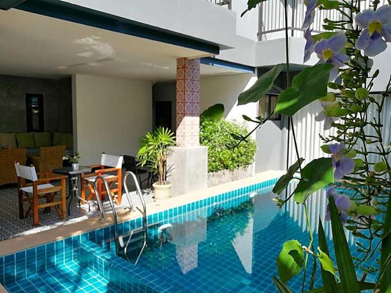 The Umbrella House - Genel