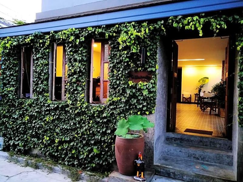 The Umbrella House - Genel
