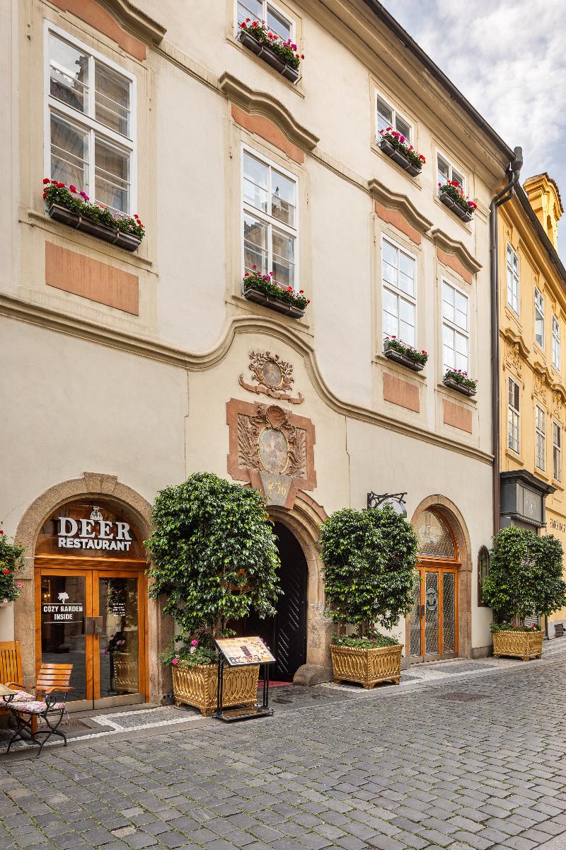 Iron Gate Hotel & Suites Prague by BHG - Genel