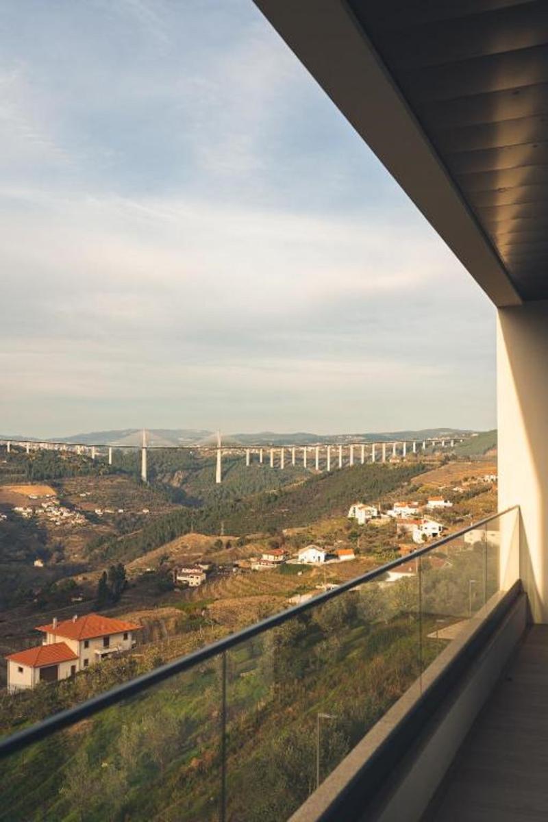 MW Douro & Wine SPA - Oda