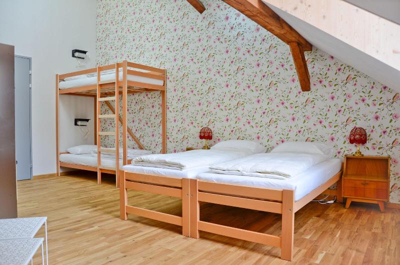 Depot 195 Hostel Winterthur - Oda